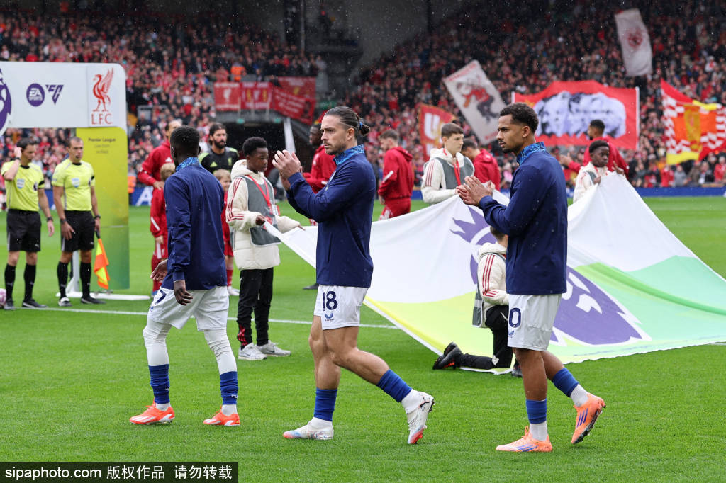 市的肾上腺 市的肾上腺